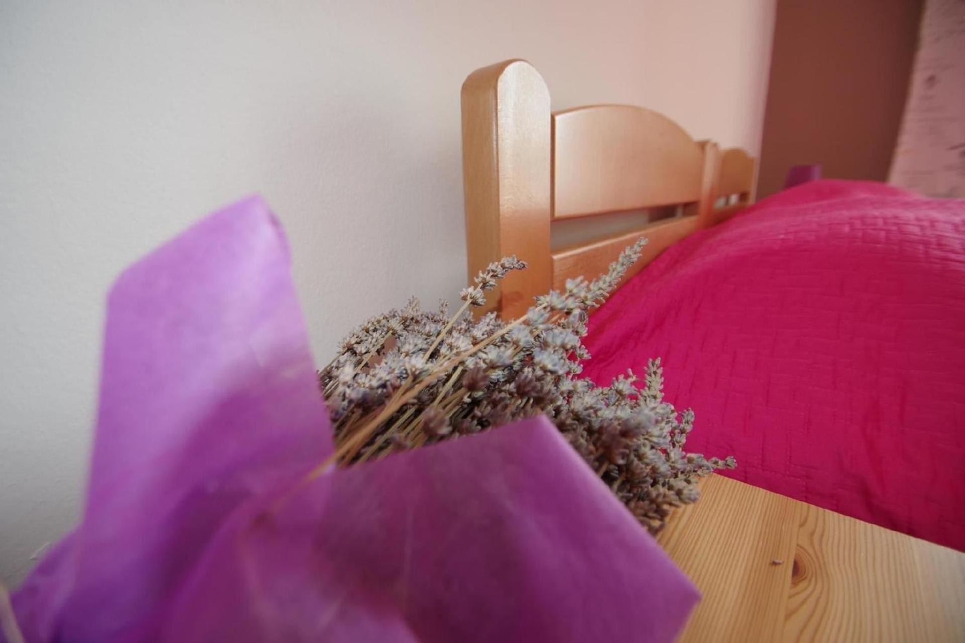 Apartman Geraeumige In Mit Gemeinsamem Garten Pula
